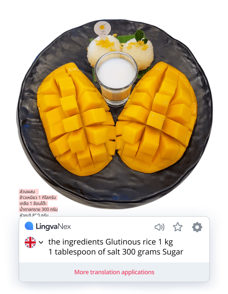 Translate even faster with the Lingvanex browser extension