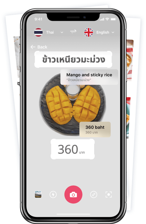 Translate Text into Any Language